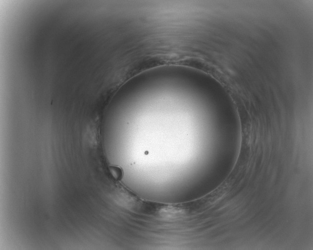 X0000069840515200605261910