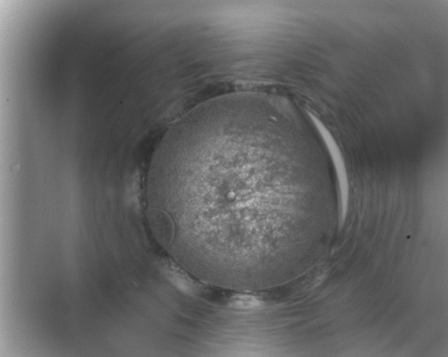 X0000069840519200605261910