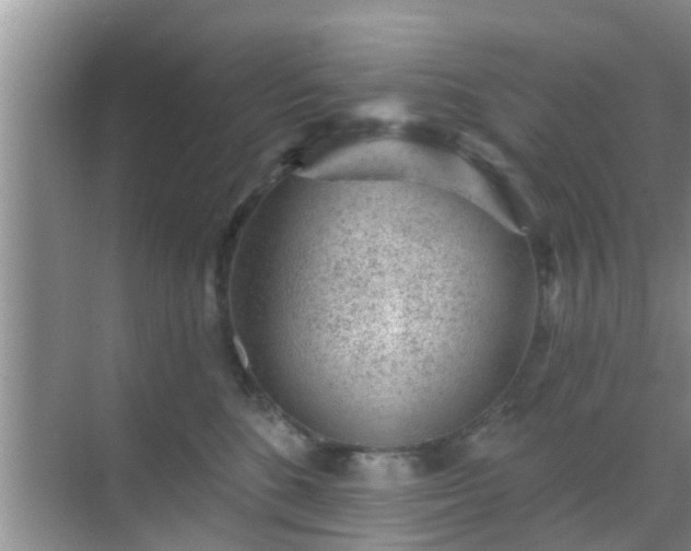 X0000069840520200605261910