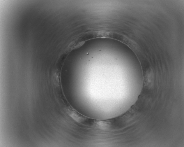 X0000069840522200605261910