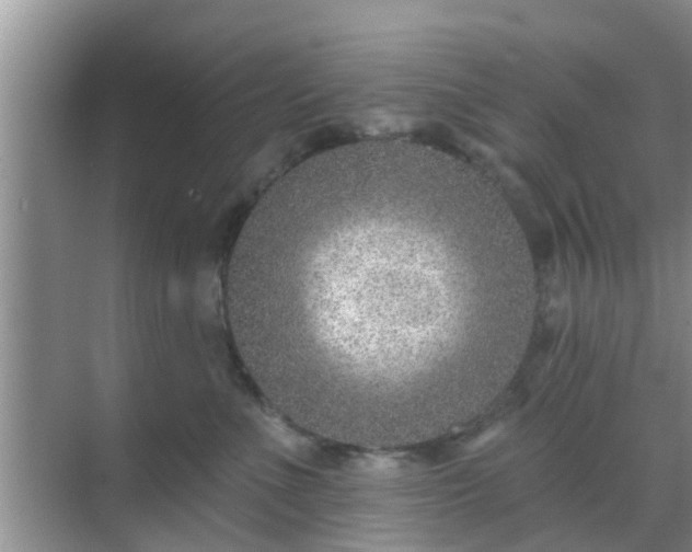 X0000069840523200605261910