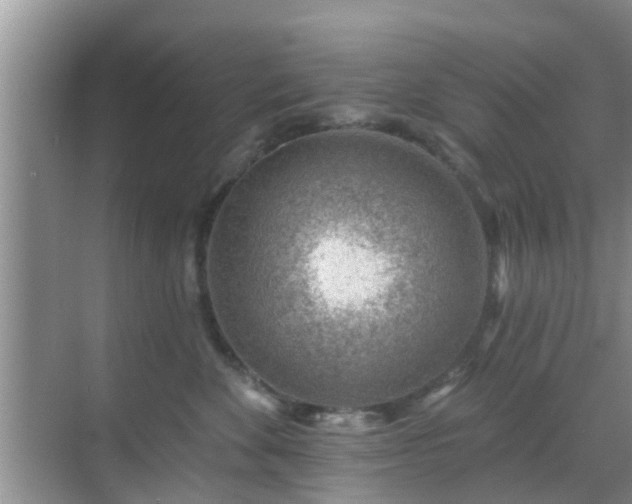 X0000069840524200605261910