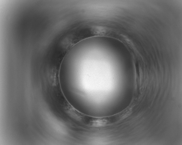 X0000069840525200605261910