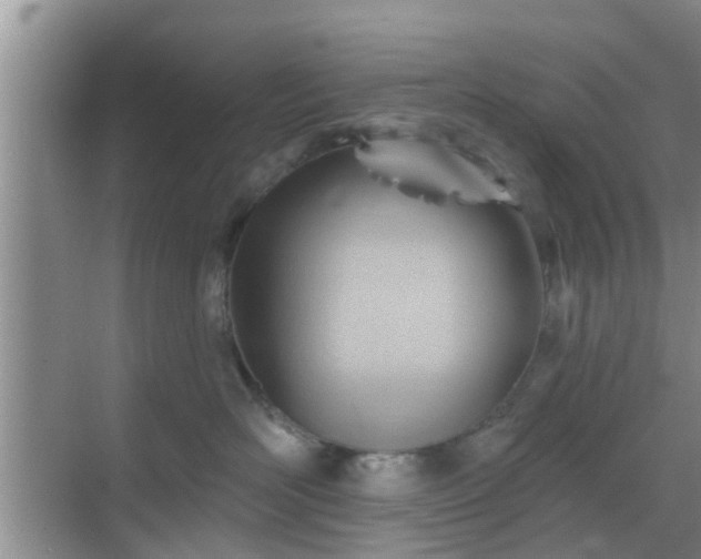 X0000069840526200605261910