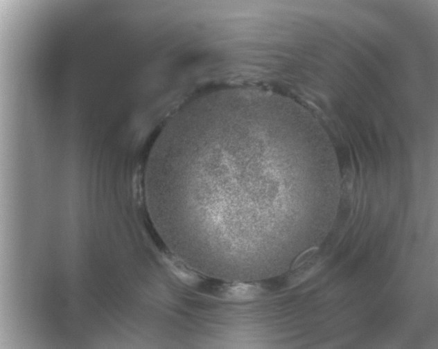 X0000069840527200605261910