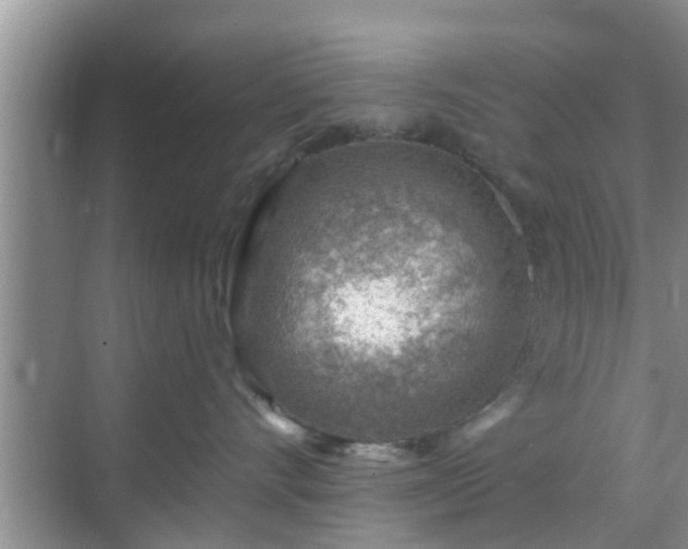 X0000069840528200605261910