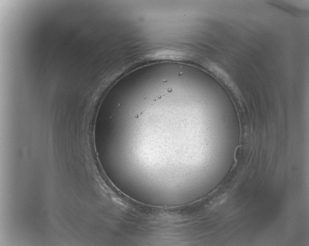 X0000069840529200605261909