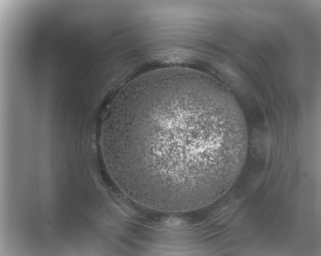 X0000069840547200605261909