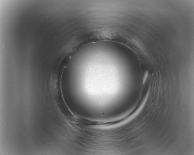 X0000069840548200605261909