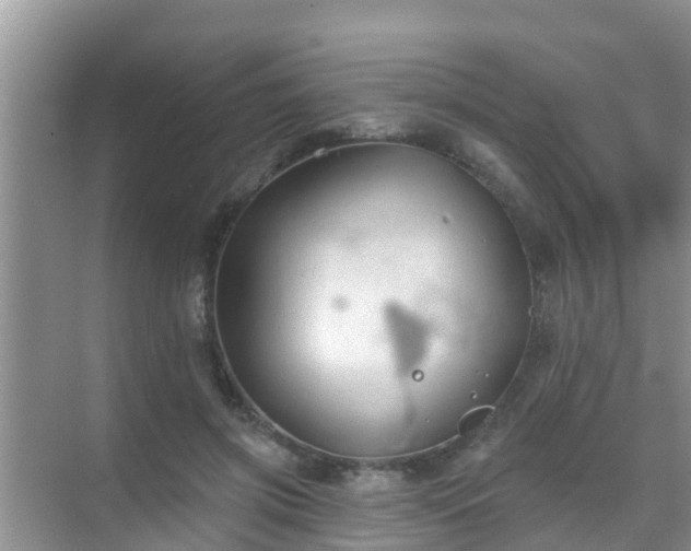 X0000069840549200605261909