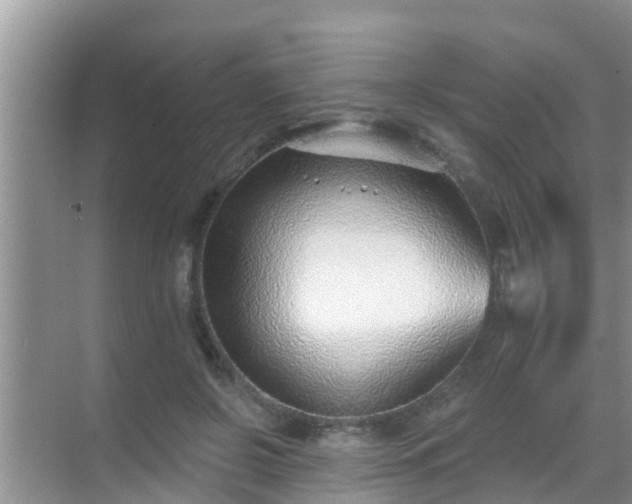 X0000069840550200605261909