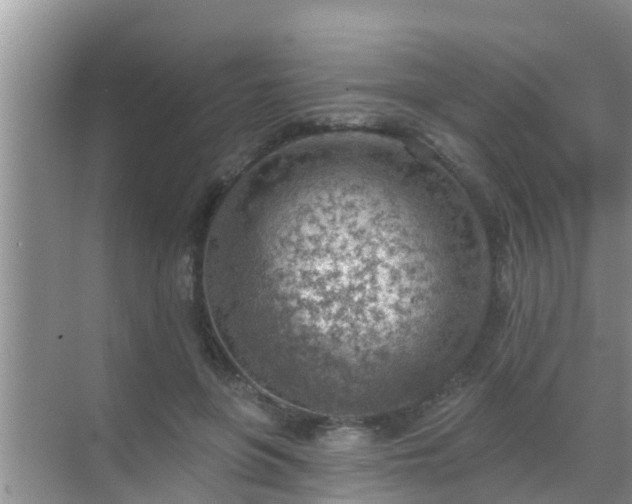 X0000069840551200605261909