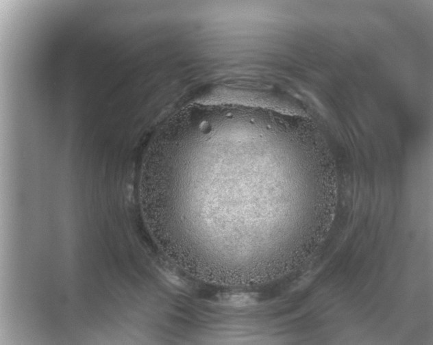 X0000069840553200605261909