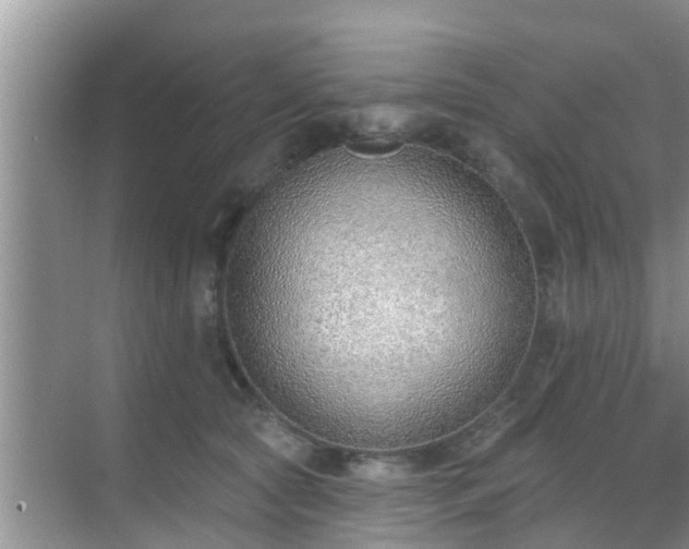 X0000069840561200605261910