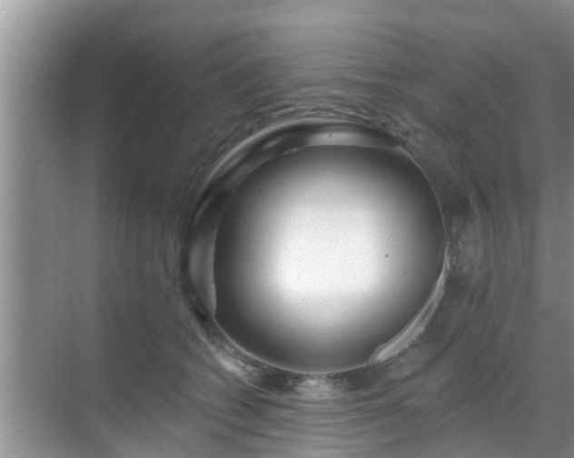 X0000069840562200605261910