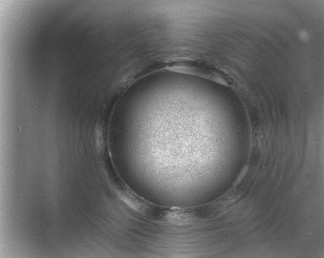 X0000069840568200605261910