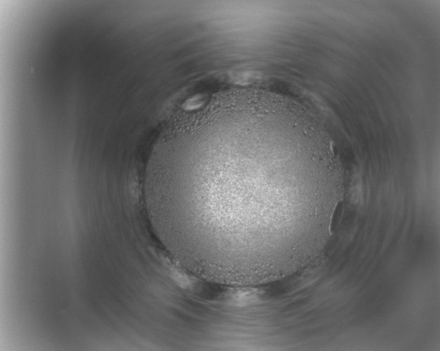 X0000069840569200605261910