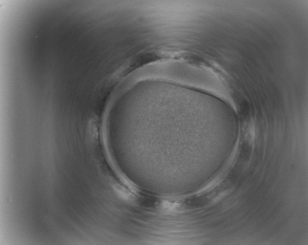 X0000069840570200605261910