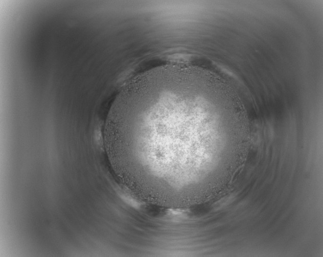 X0000069840573200605261910