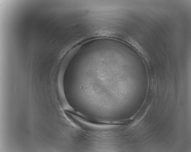 X0000069840577200605261909