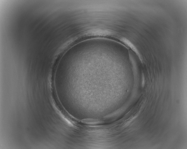 X0000069840581200605261909