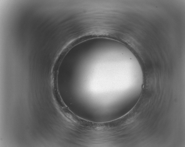 X0000069840584200605261909