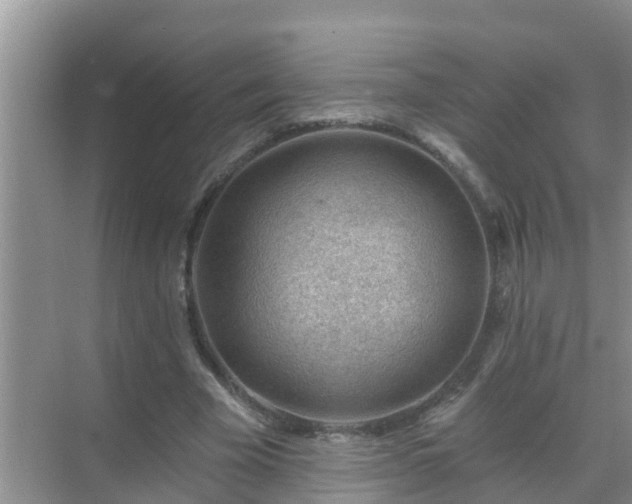 X0000069840585200605261909