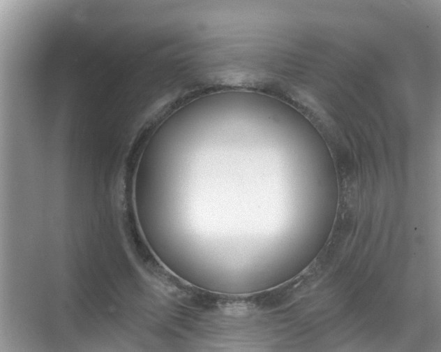 X0000069840587200605261909