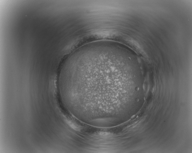 X0000069840590200605261909