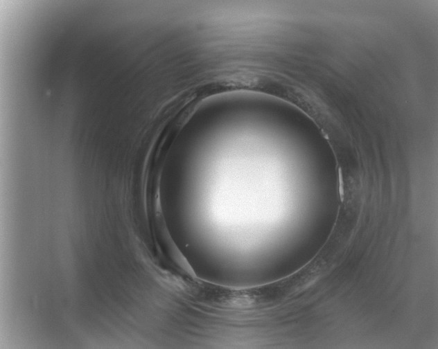 X0000069840600200605261909