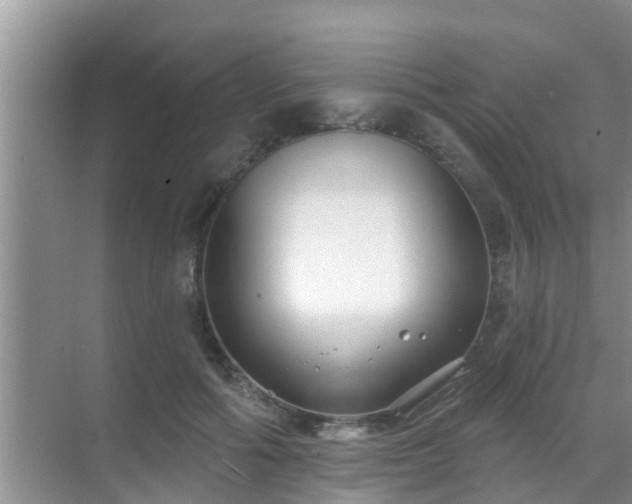 X0000069840602200605261909