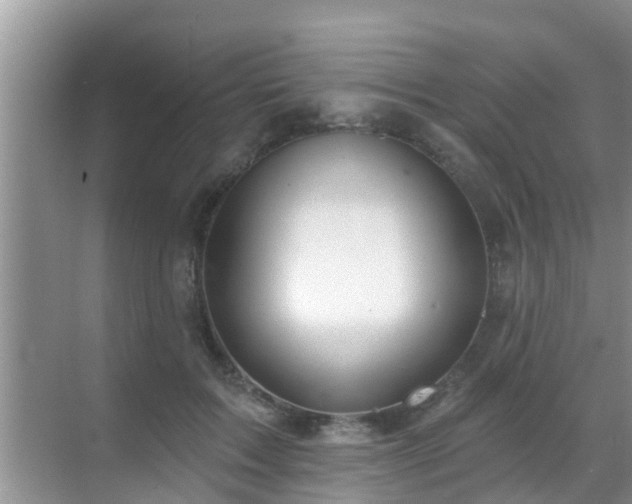 X0000069840603200605261909