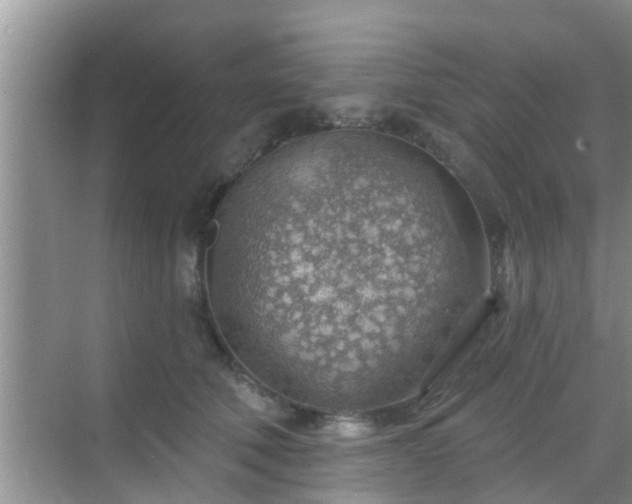 X0000069840610200605261908