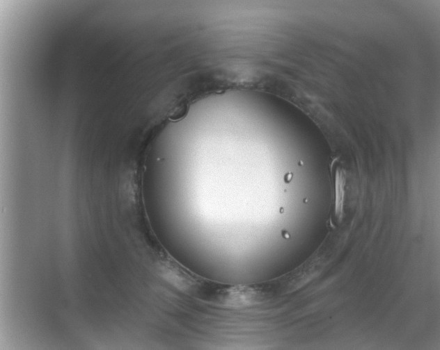 X0000069840612200605261908