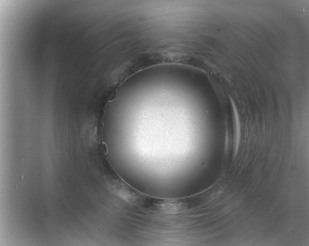 X0000069840615200605261908