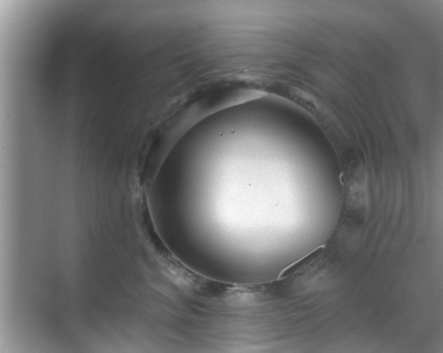 X0000069840620200605261908