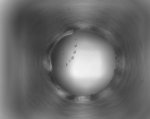 X0000069840622200605261908