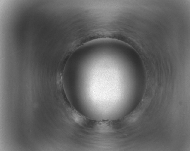 X0000069840624200605261908