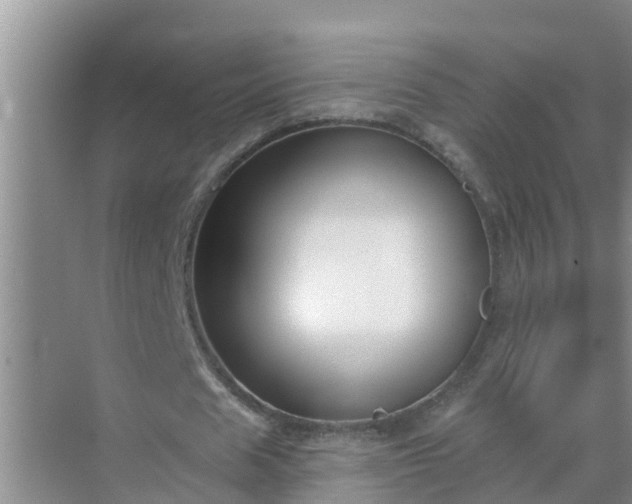 X0000069840625200605261907