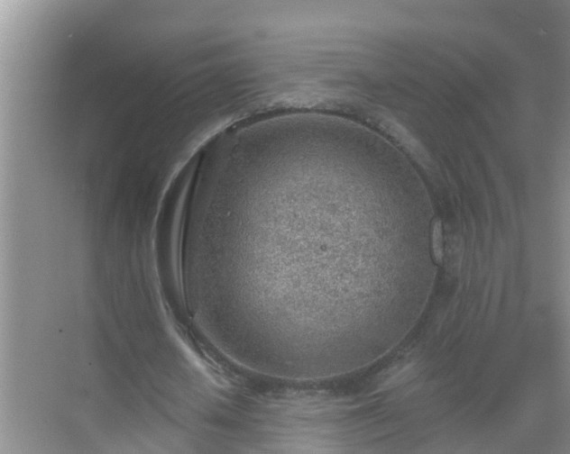 X0000069840626200605261907