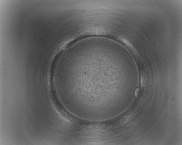 X0000069840627200605261907