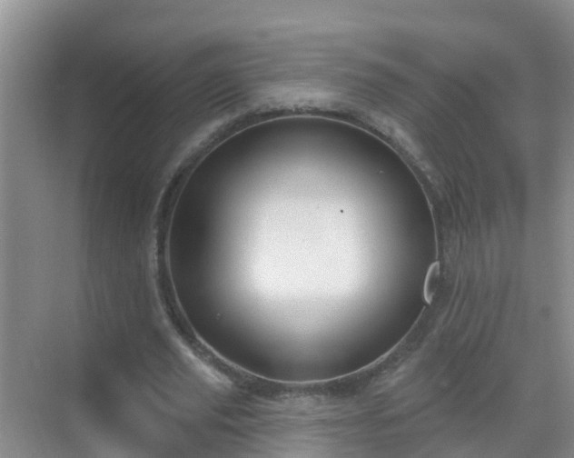 X0000069840629200605261907