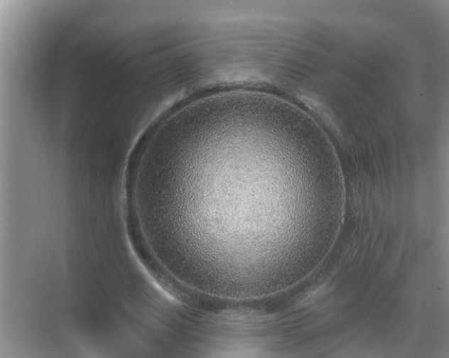 X0000069840630200605261907