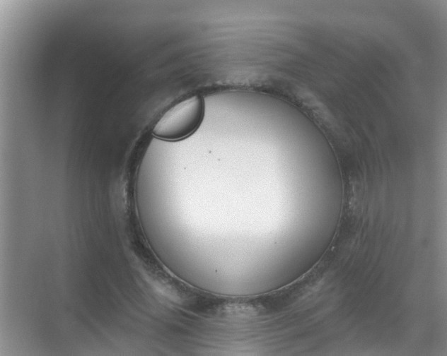 X0000069840636200605261908