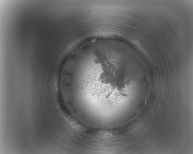 X0000069840640200605261908