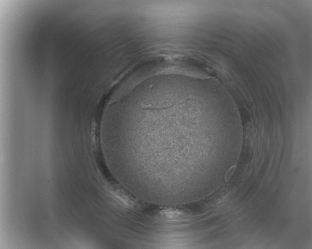 X0000069840650200605261908