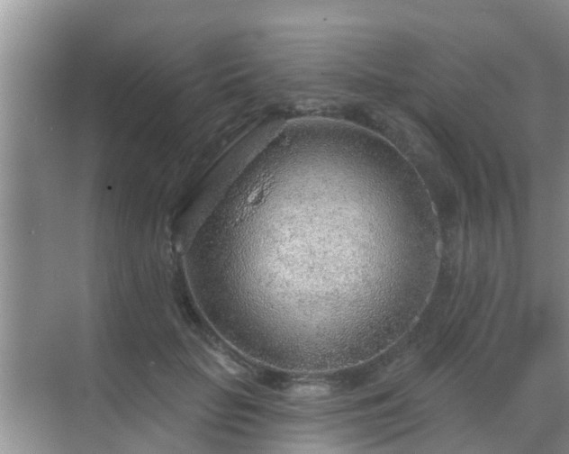 X0000069840653200605261908