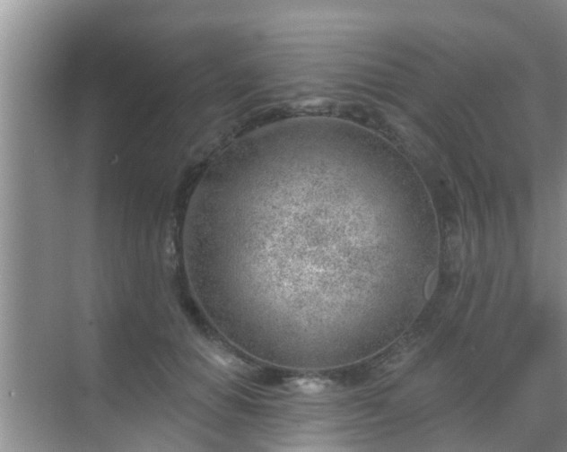 X0000069840654200605261908