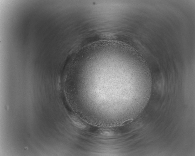 X0000069840658200605261908