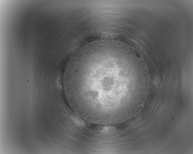 X0000069840663200605261908